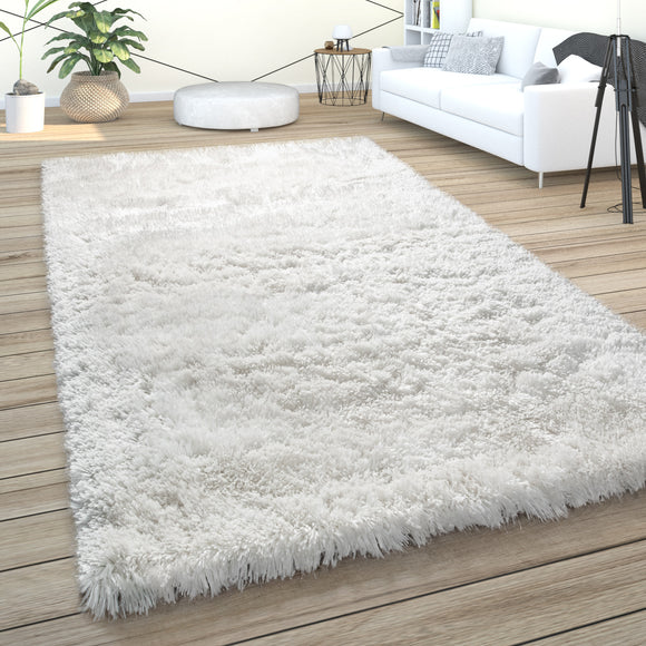 Home Rugs – Paco Products